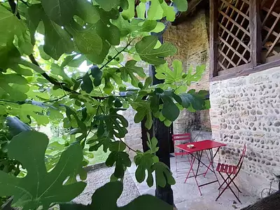 Maison, 350 m²
