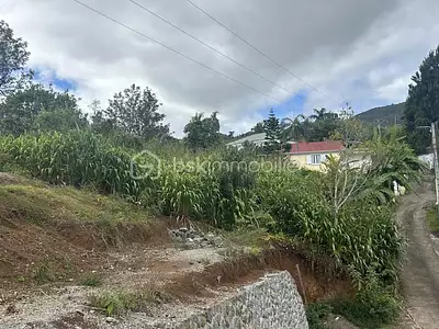 Terrain, 994 m²