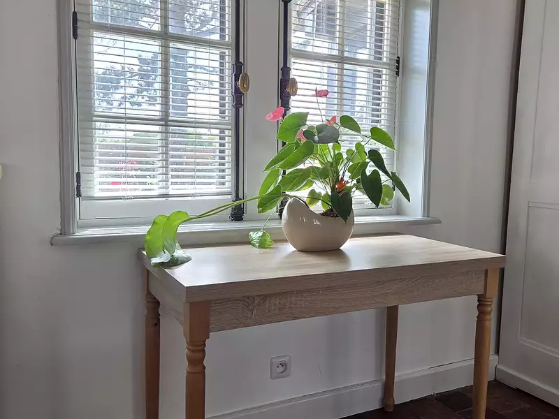 Maison, 160 m²