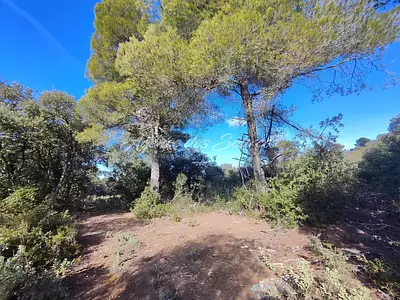 Terrain, 20 880 m²