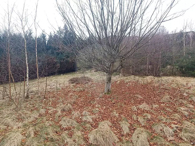 Terrain, 867 m²