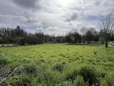 Terrain, 2 595 m²