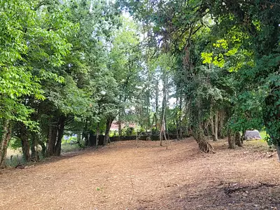Terrain, 865 m²