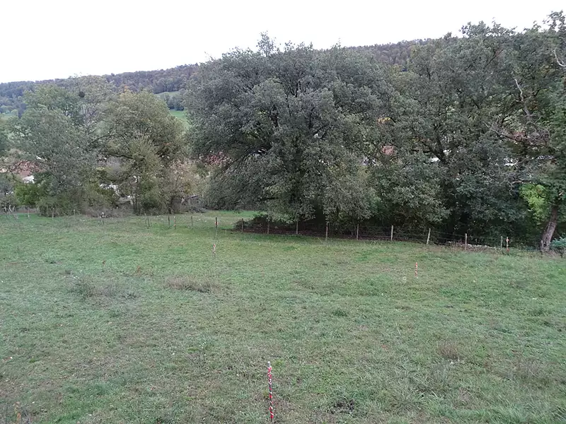 Terrain, 700 m²