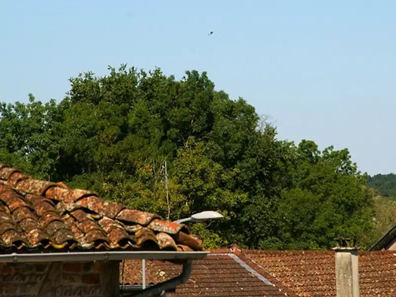 Immeuble, 226 m²