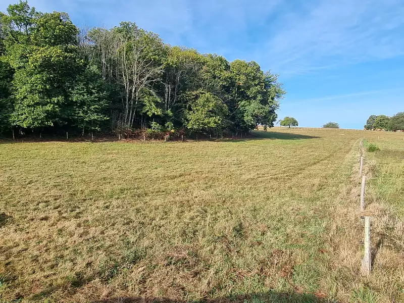 Terrain, 3 002 m²