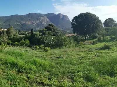 Terrain, 1 110 m²