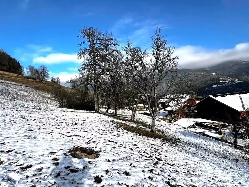 Terrain, 1 164 m²