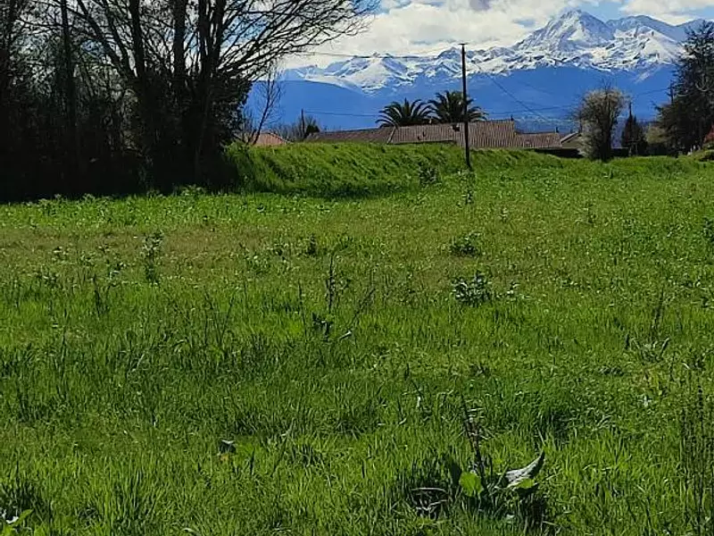 Terrain, 1 427 m²