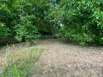Maison, 56 m²