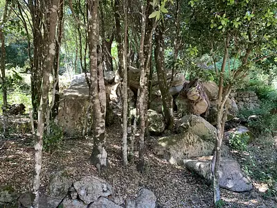 Terrain, 495 m²