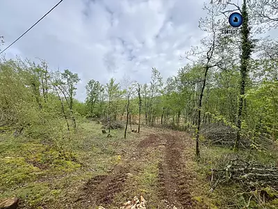 Terrain