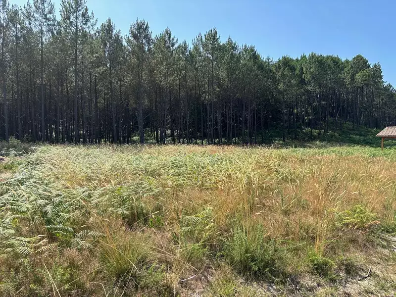 Terrain, 891 m²