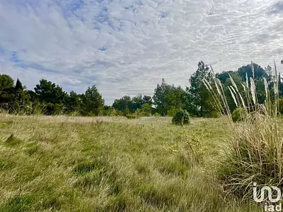 Terrain