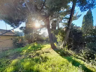 Terrain, 364 m²