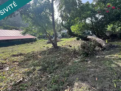 Terrain, 745 m²