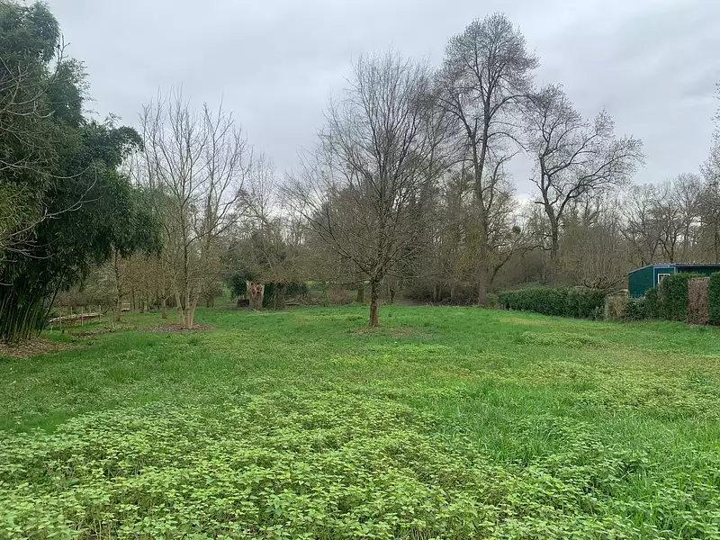 Terrain, 1 431 m²