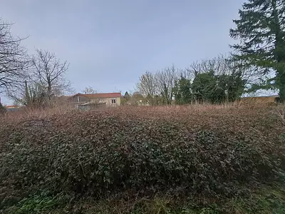Terrain