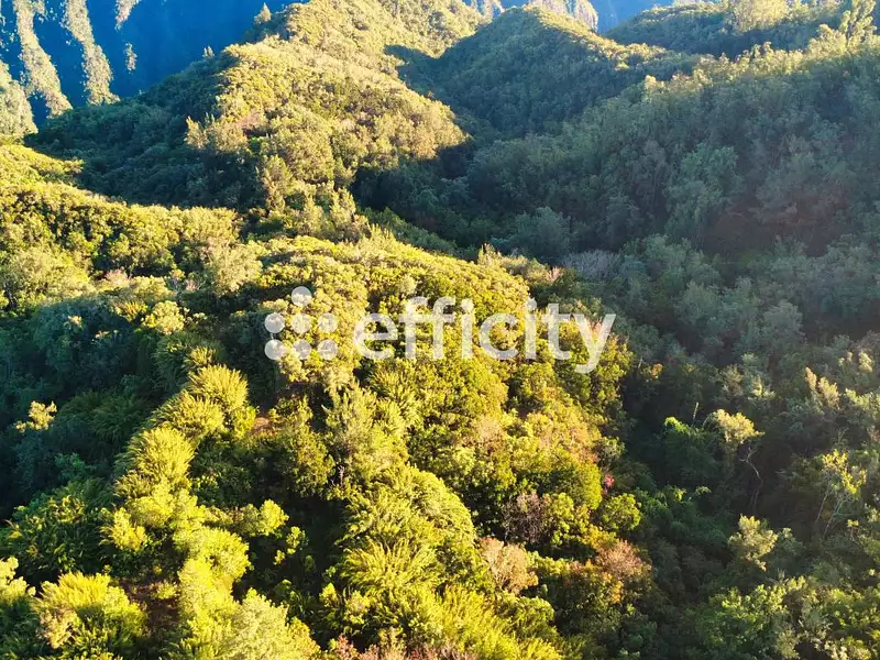 Terrain, 640 000 m²