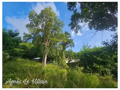 Terrain, 2 983 m²