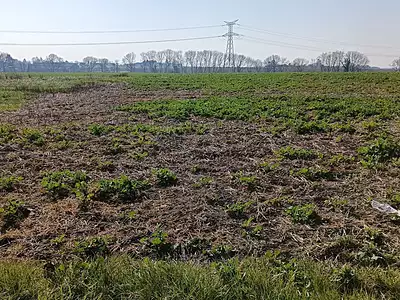 Terrain, 659 m²