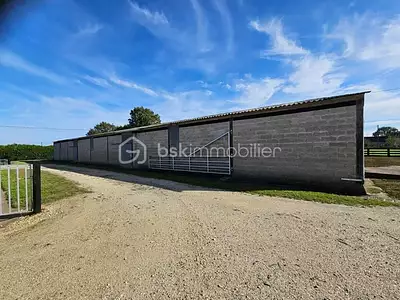 Terrain, 200 000 m²