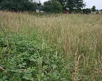Terrain, 1 531 m²