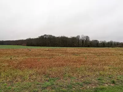 Terrain, 1 299 m²