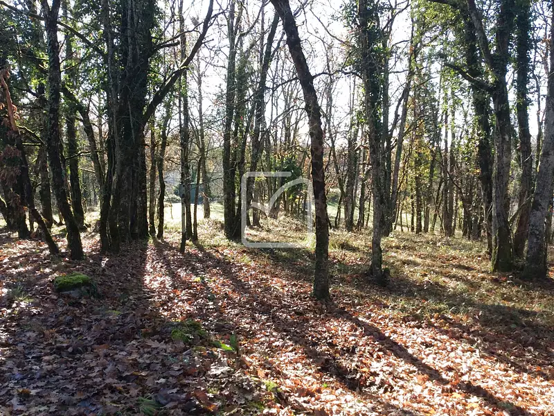 Terrain, 1 380 m²