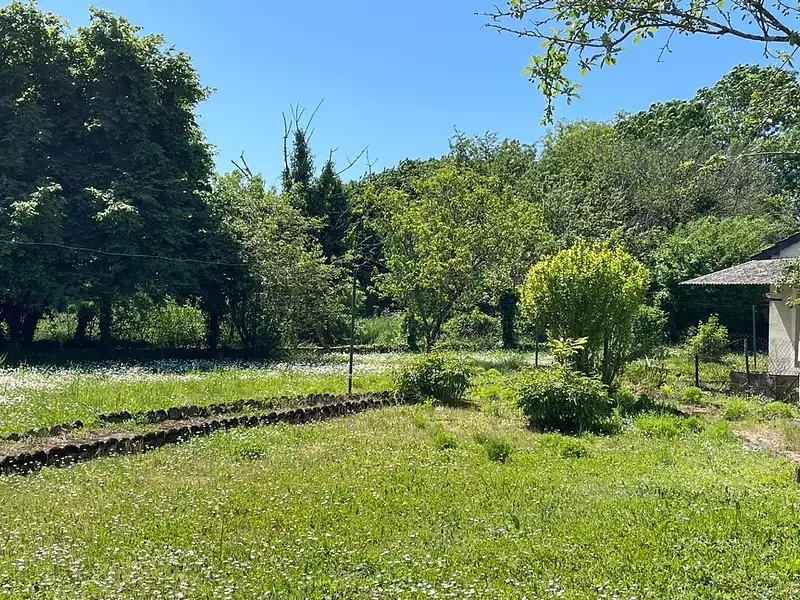 Maison, 66 m²