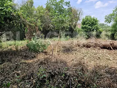 Terrain, 1 200 m²