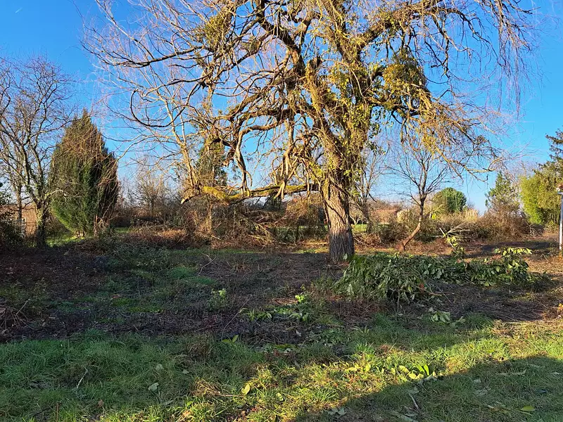 Maison, 38 m²
