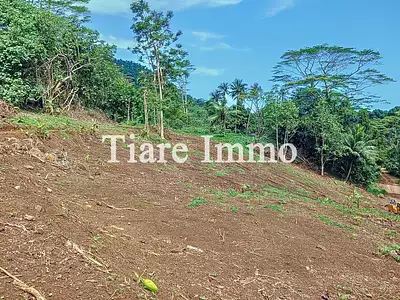 Terrain, 1 600 m²