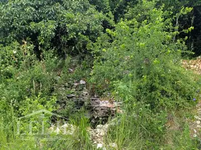 Terrain, 10 000 m²