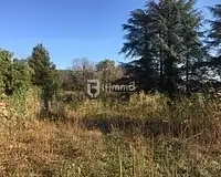 Terrain, 10 247 m²