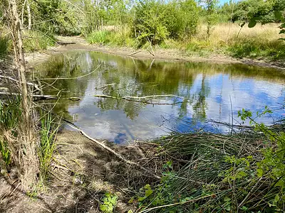 Terrain, 31 937 m²