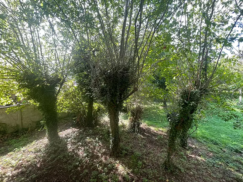 Maison, 102 m²