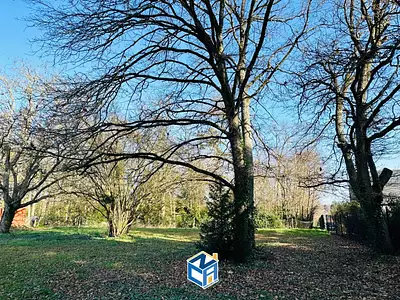 Terrain, 894 m²