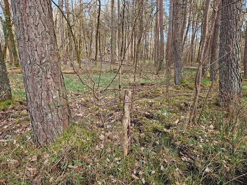 Terrain, 22 911 m²