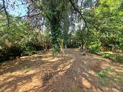 Maison, 330 m²