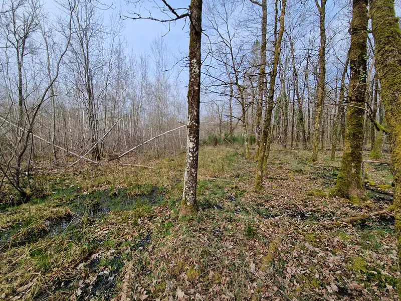 Terrain, 22 911 m²