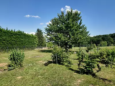 Maison, 112 m²