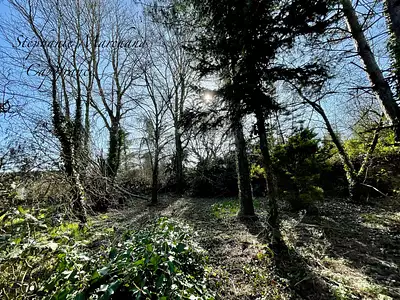 Maison, 67 m²