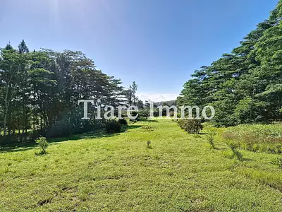 Terrain, 800 m²