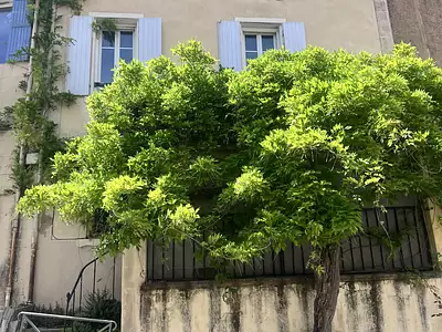 Maison, 70 m²