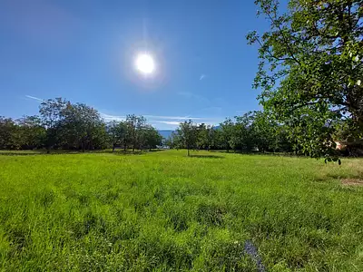 Terrain, 1 350 m²