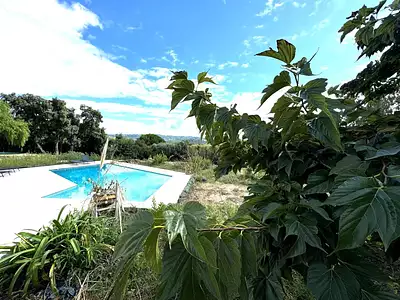 Maison, 165 m²