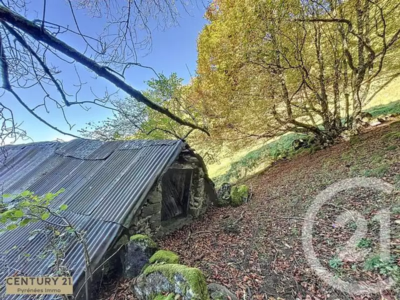 Maison, 40 m²
