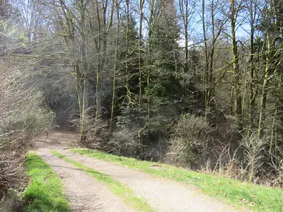 Maison, 306 m²
