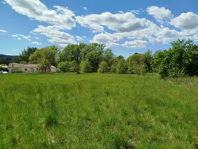 Terrain
